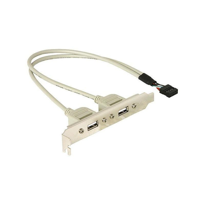 Product PCIe Slot Bracket Delock 2x USB A base image