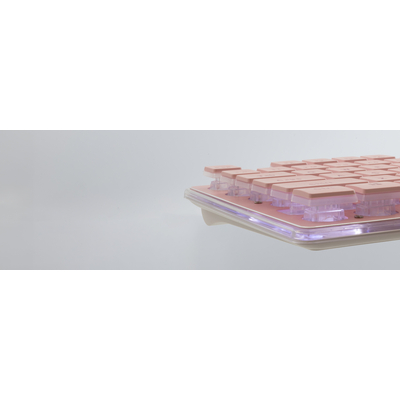 Product Πληκτρολόγιο White Shark Led Keyboard Gk-003441 Tachi Us Layout Pink base image