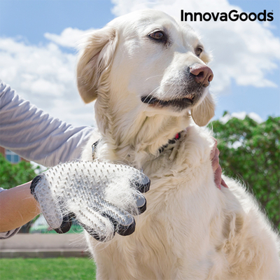 Product Γάντι για Βούρτσισμα και Μασάζ InnovaGoods Κατοικίδιων Relpet base image