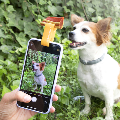 Product Κλιπ Selfies για κατοικίδια Pefie InnovaGoods base image