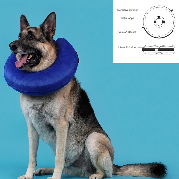 Recovery Collar for Dogs KVP Kong Cloud Μπλε Φουσκωτό (Max. 15 cm)