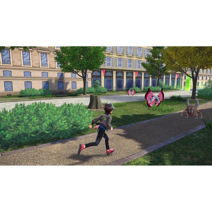 Nintendo Portable Game Console 1061153