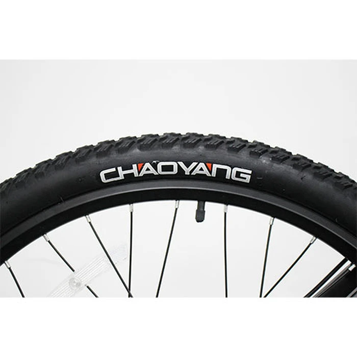 Λάστιχο Ποδηλάτου Lgp Tire for E-Bike Rebel