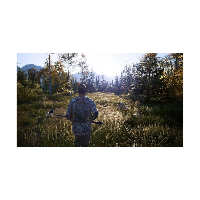 Παιχνίδι  PS4 Hunting Simulator 2