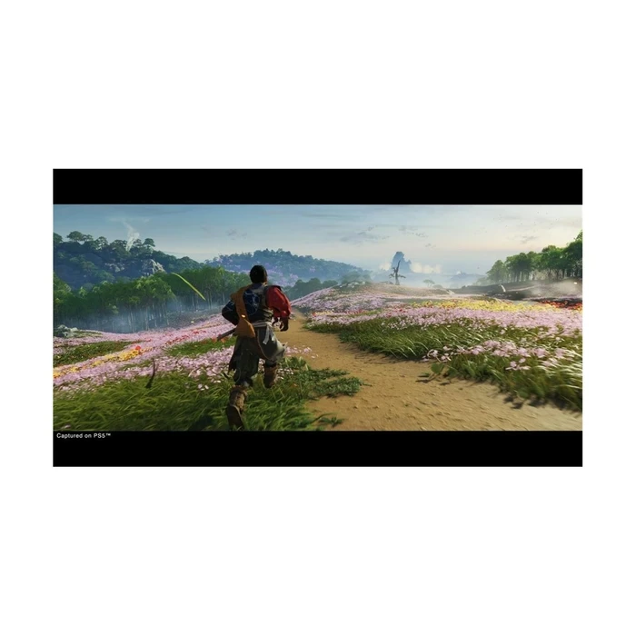 Ghost of Tsushima Director’s Cut (PS5) - SONY