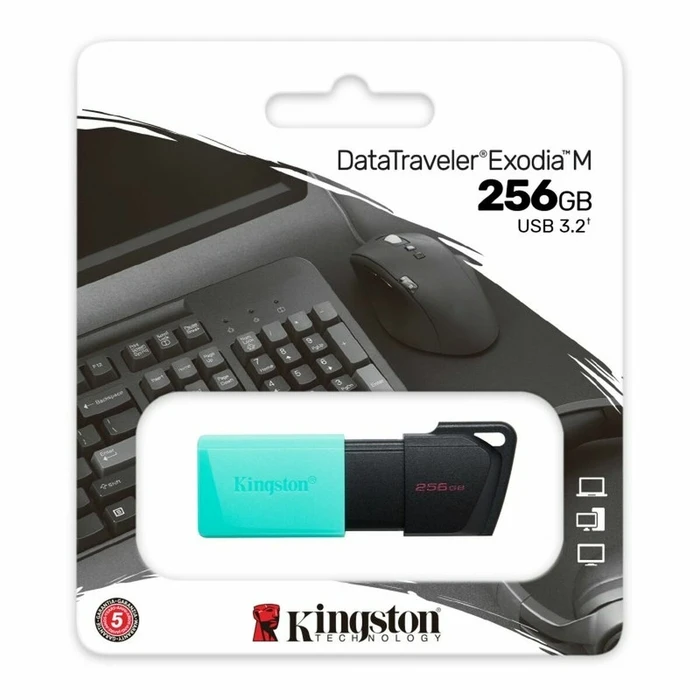 USB Flash Kingston DTXM/256GB Μαύρο 256 GB 