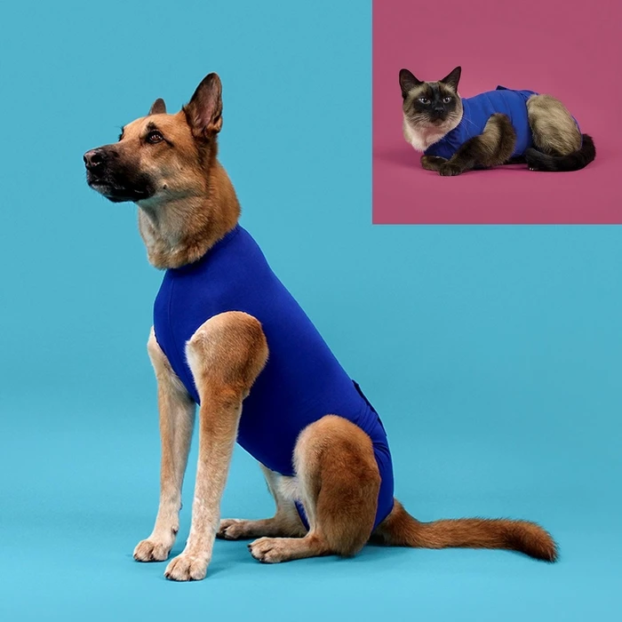 Pet Recovery T-Shirt KVP Μπλε (25-33 cm)
