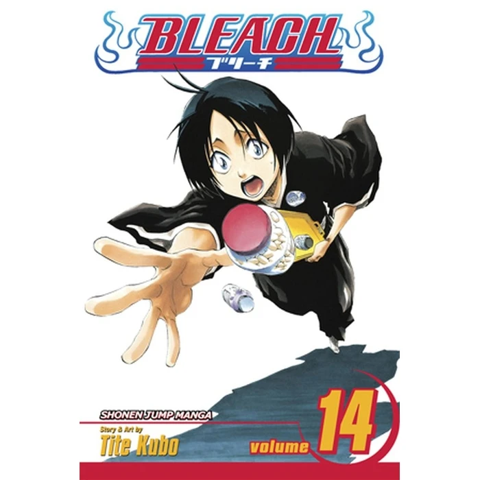 Viz Bleach Vol. 14 Paperback Manga