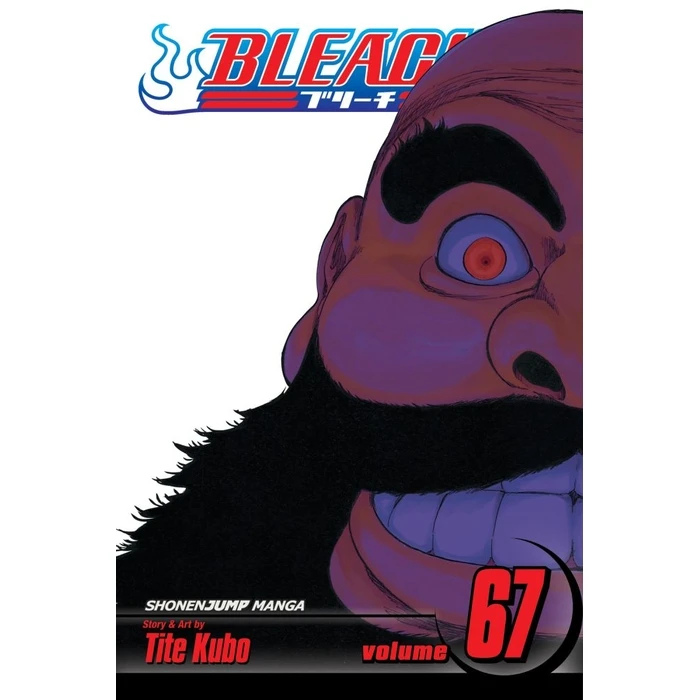 Viz Bleach Vol. 67 Paperback Manga