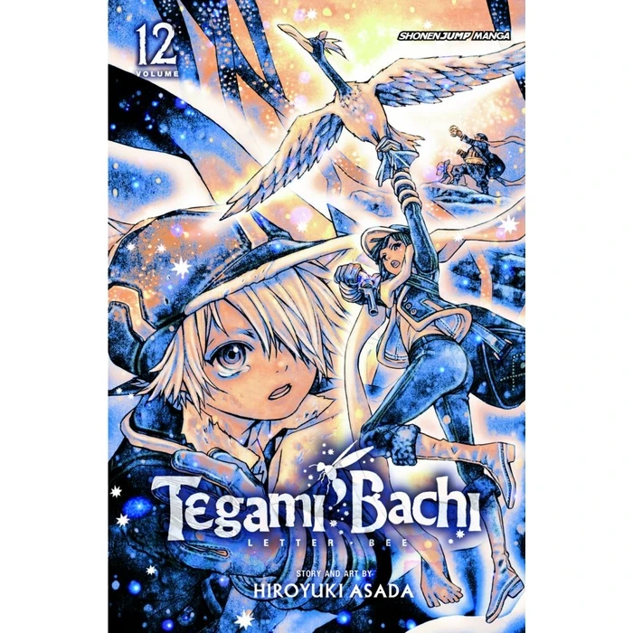 Viz Tegami Bachi GN Vol. 12 Paperback Manga