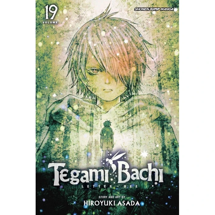 Viz Tegami Bachi GN Vol. 19 Paperback Manga