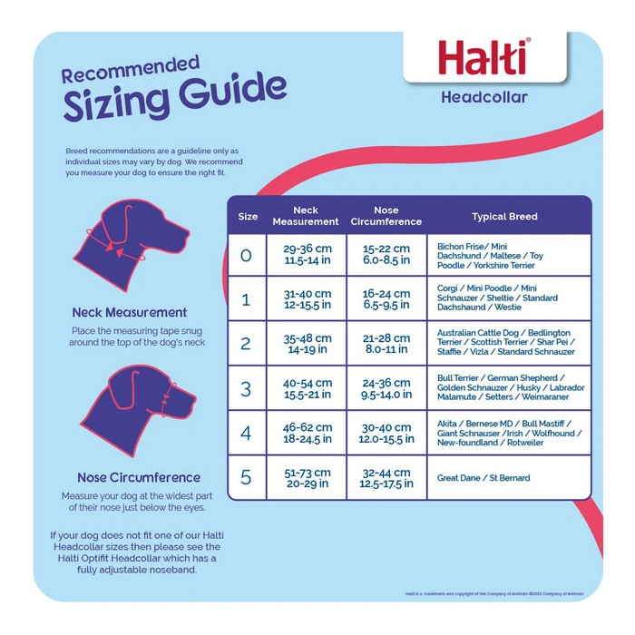 Κολάρο Εκπαίδευσης Σκύλων Company of Animals Halti Μαύρο Ρύγχος (31-40 cm)