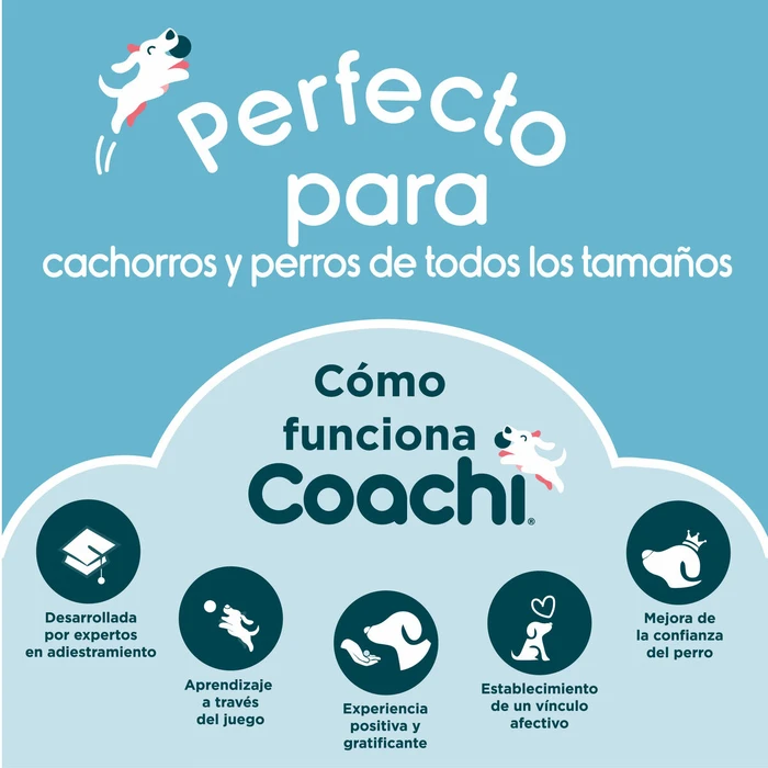Κασετίνα Coachi Train & Treat Μπλε