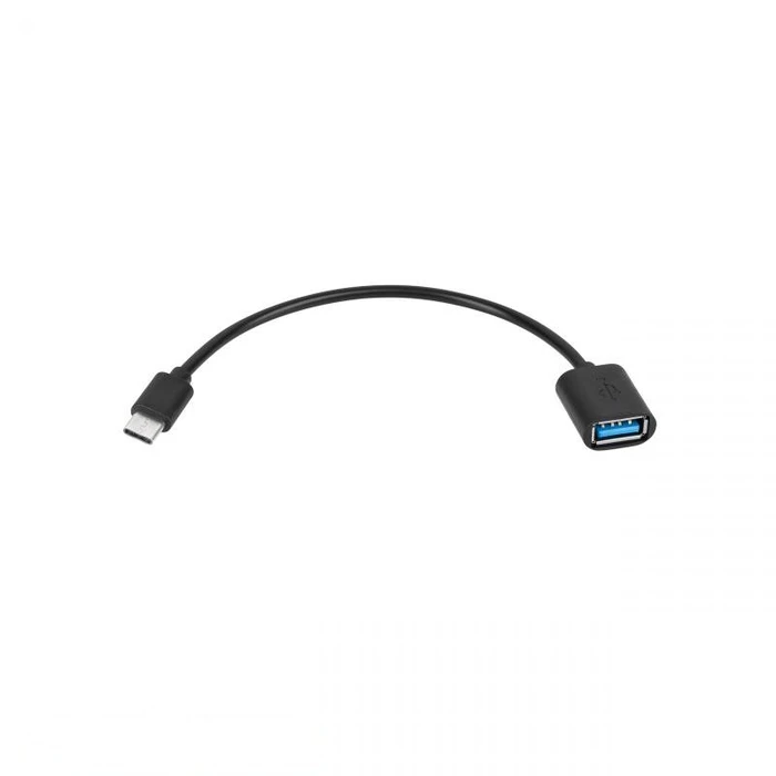 Αντάπτορας USB OTG A - Type C 20cm