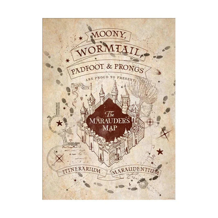 Αφίσα Pyramid: Harry Potter (Map And School List)