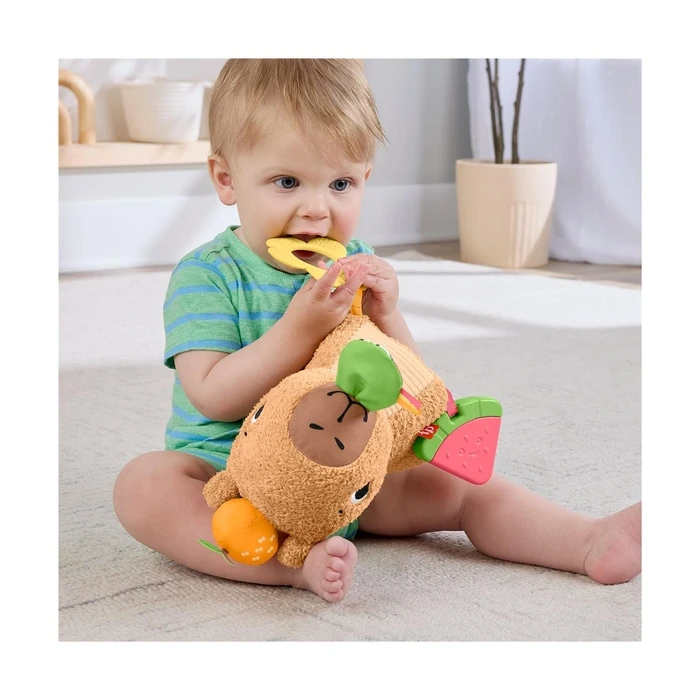 Fisher Price  Snuggly Snacky Capy (HYR54)