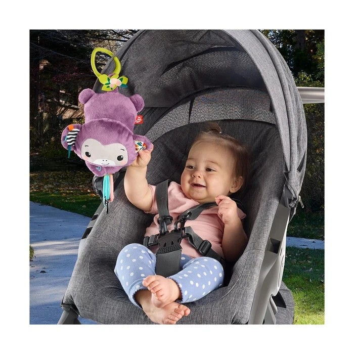 Fisher Price  OnTheGo Purple Monkey (JFF02)