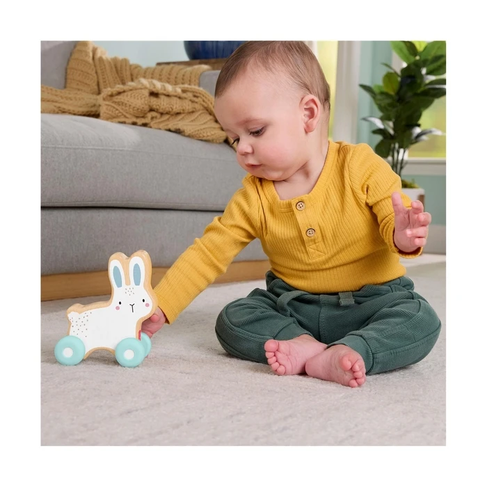 FisherPrice: Wooden PushAlong Bunny (JDM52)