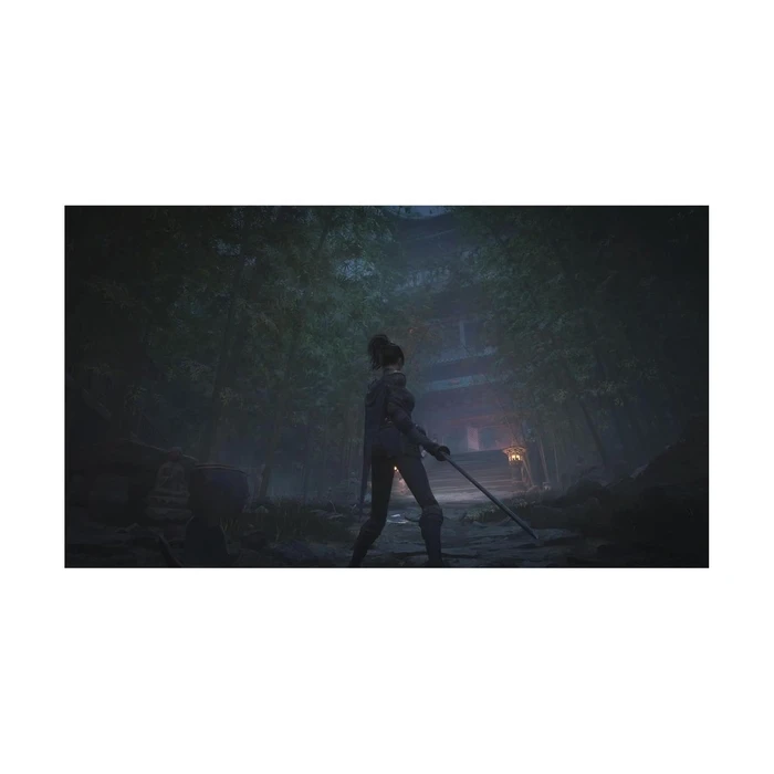 Παιχνίδι PS5 Wuchang: Fallen Feathers - Day One Edition