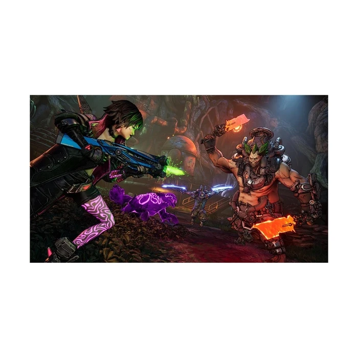 Παιχνίδι PS5 Borderlands 4