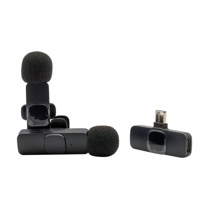 Μικρόφωνο Realpower HS-1,Wireless ,2 χ,1 Recipient