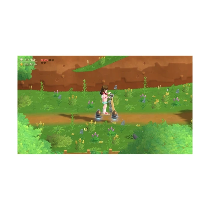 Numskull Harvest Moon Home Sweet Home Special Edition