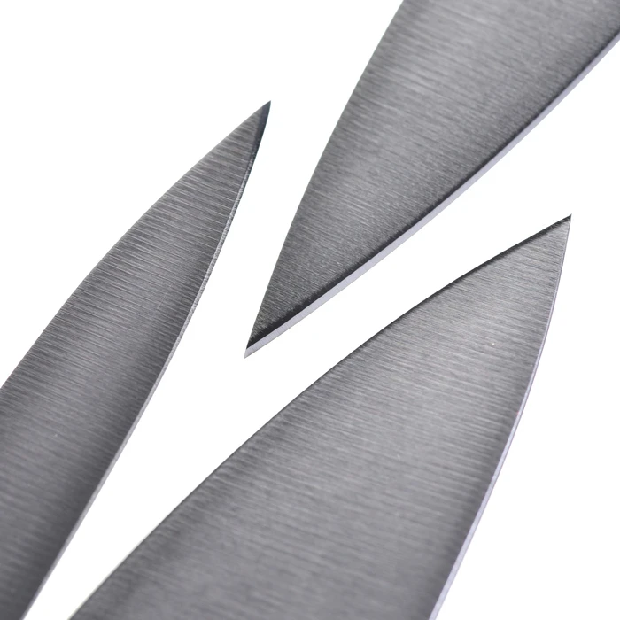 Σετ Μαχαίρια Zwilling Stainless steel Domestic