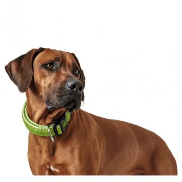 Περιλαίμιο Σκύλου Hunter Hilo Vario Basic - M -L- lime