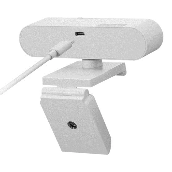 Webcam Lenovo GXC1D66063 2.8 MP 1920 x 1080 USB-C Grey