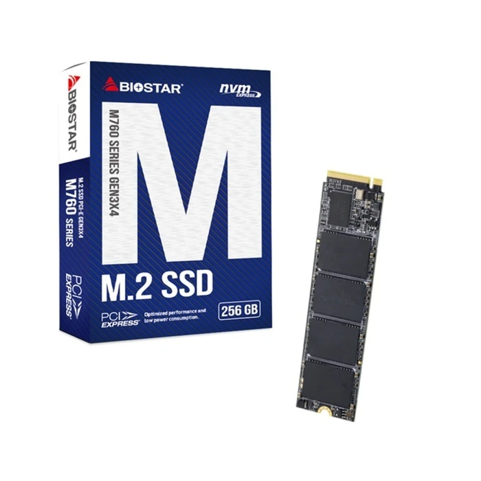 Σκληρός Δίσκος SSD M.2 256GB Biostar M760