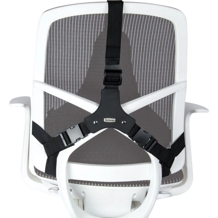 Μαξιλάρι Καθίσματος Fellowes Ergonomics professional