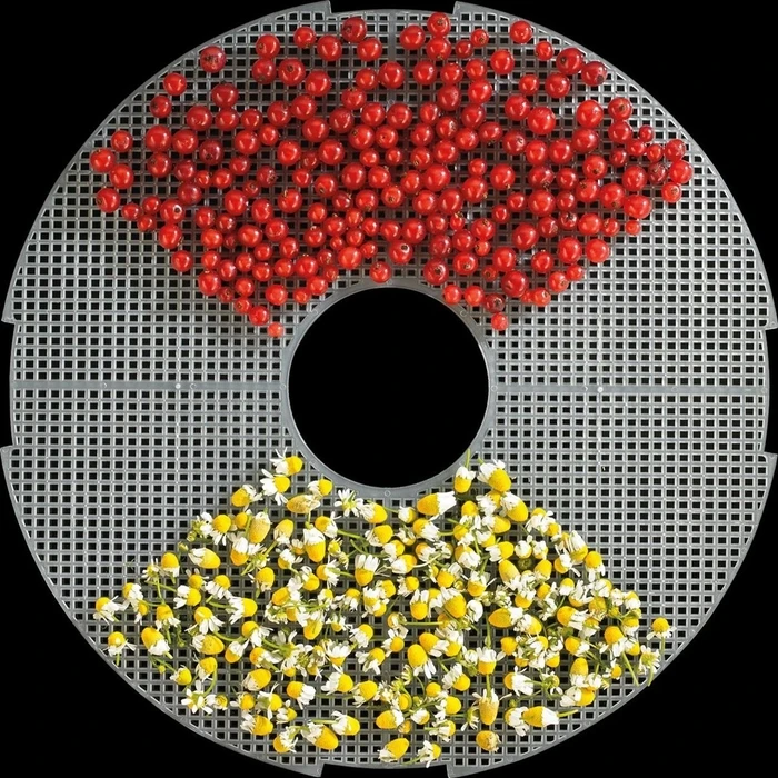 Αποξηραντής Τροφίμων Gorenje FDK 24 DW Transparent, White 240W Dryer