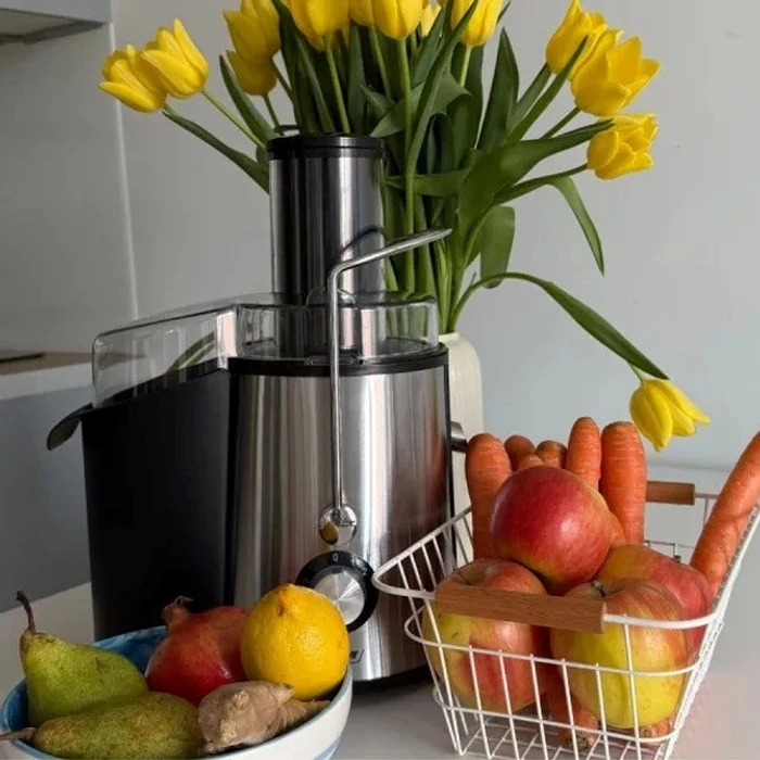 Αποχυμωτής MPM MSO-18-M Juicer 1000W Black, Silver