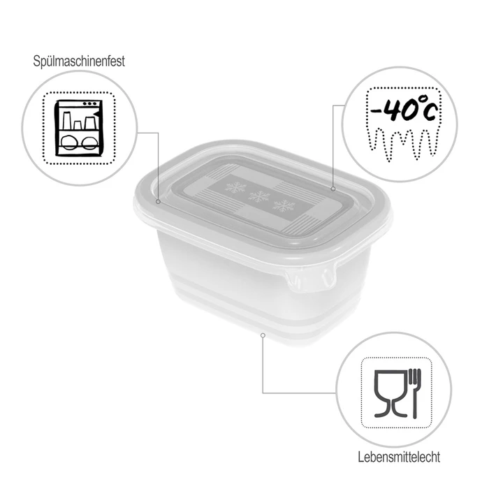 Δοχεία Φαγητού Rotho Freeze - freezer container - 6x250ml