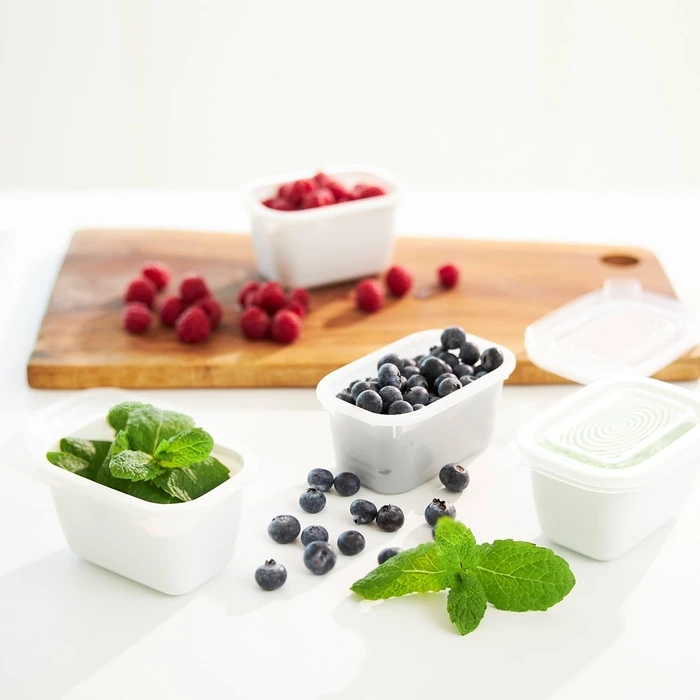 Δοχεία Φαγητού Rotho Freeze - freezer container - 6x250ml