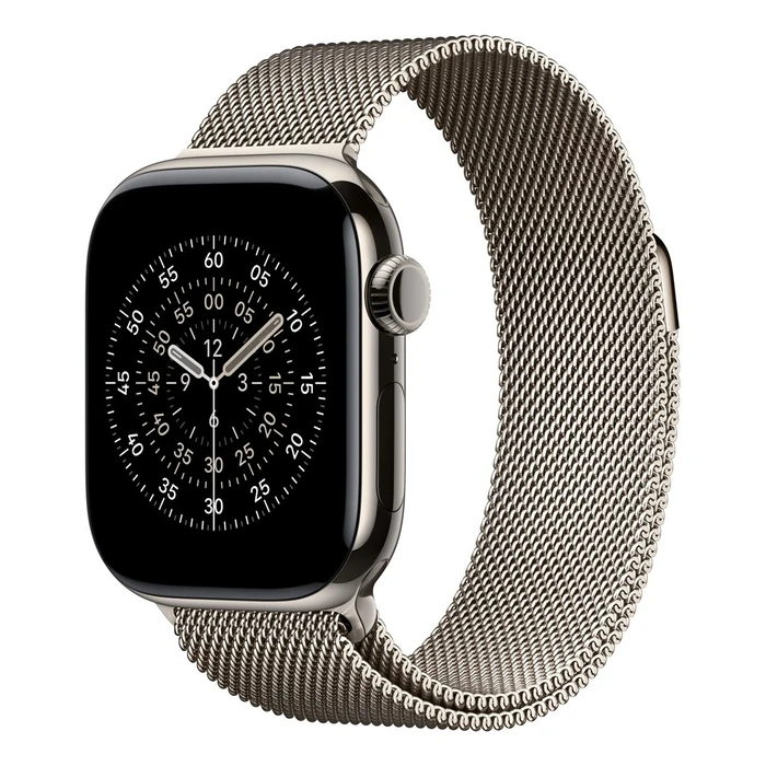 Λουράκι Wearable Apple MGHY4ZM/A Natural Stainless steel