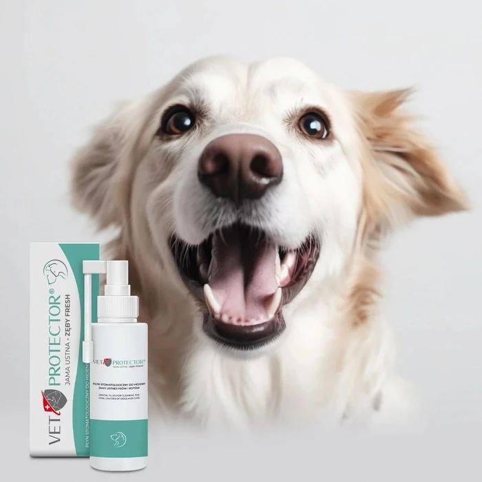 Είδη Στοματικής Υγιεινής Σκύλου JM Sante Vet Protector Fresh - dental solution for oral hygiene for dogs and cats – 100 ml