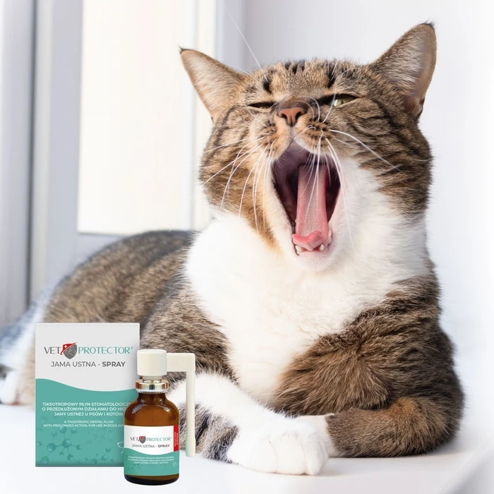 Καθαριστικά Σκύλου JM Sante Vet Protector Oral cavity spray – liquid for the oral cavity for dogs and cats - 30 ml