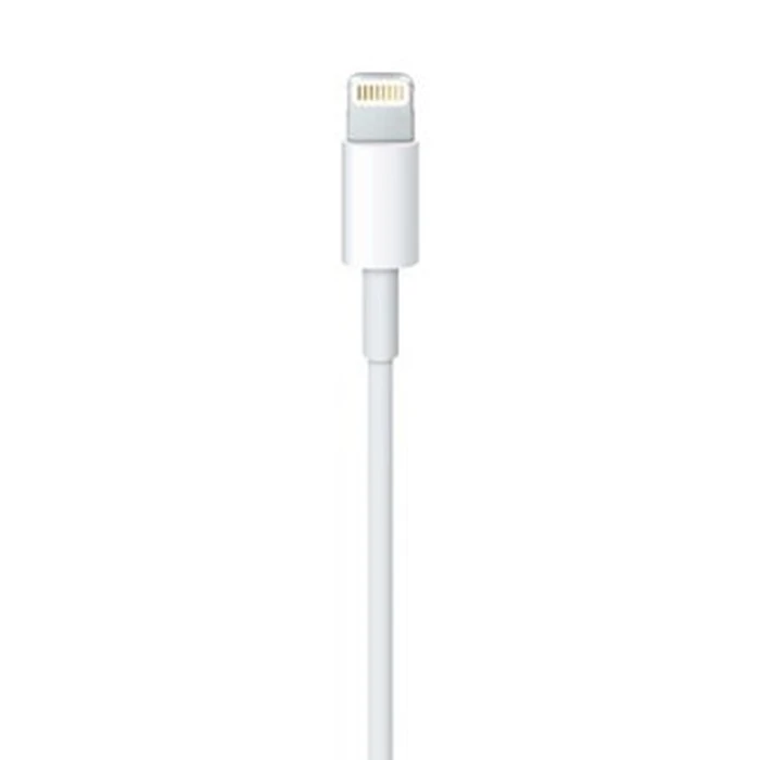 Καλώδιο Apple Lightning to USB (0.5 m)