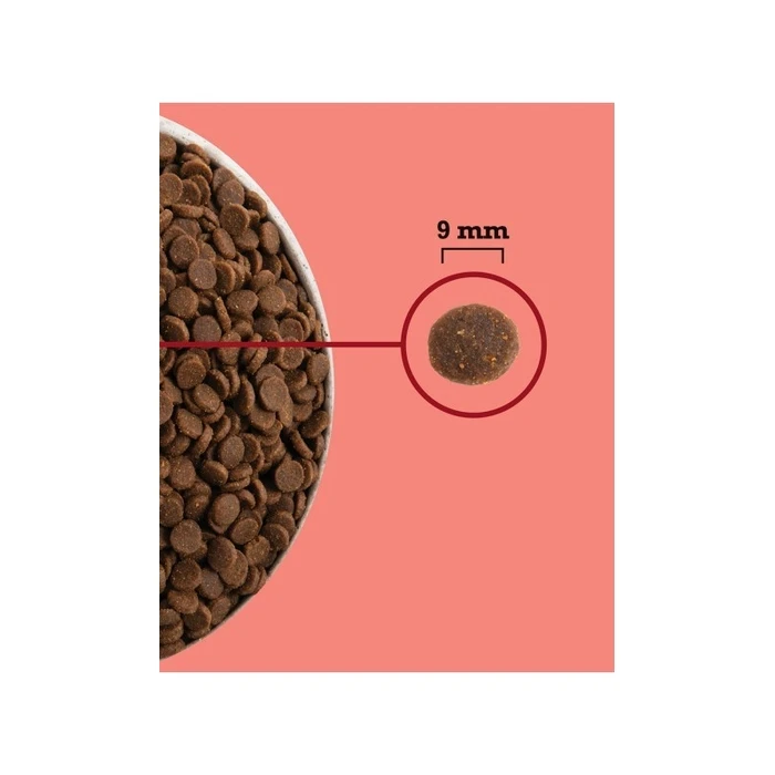 Ξηρά Τροφή Γάτας Acana Highest Protein Indoor Cat 1,8kg