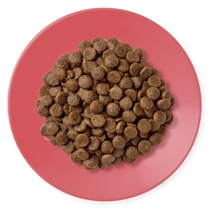 Ξηρά Τροφή Γάτας Applaws Adult Chicken with duck 400g