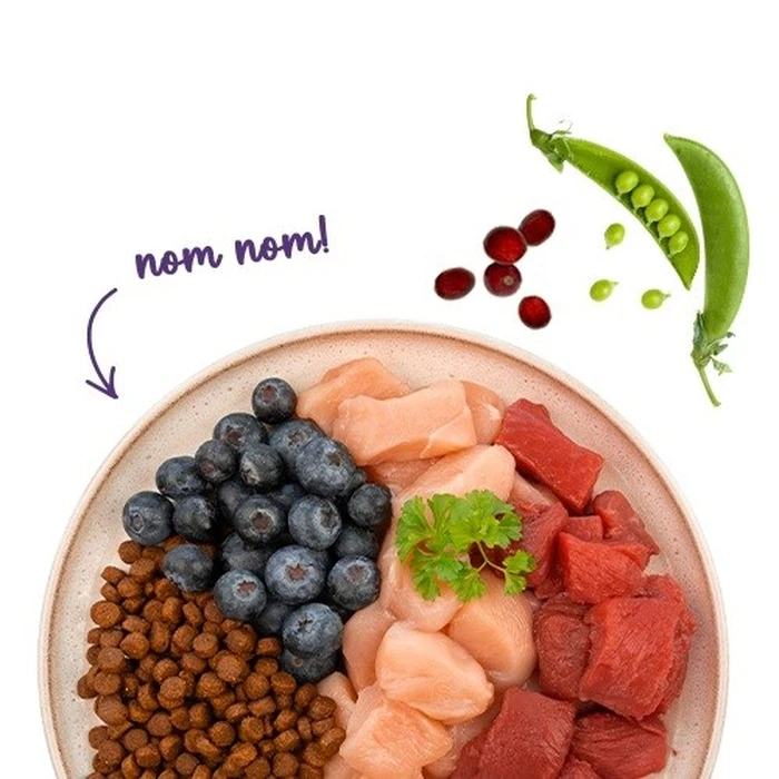 Ξηρά Τροφή Γάτας Bosch Sanabelle Adult Ostrich & Blueberries 2kg