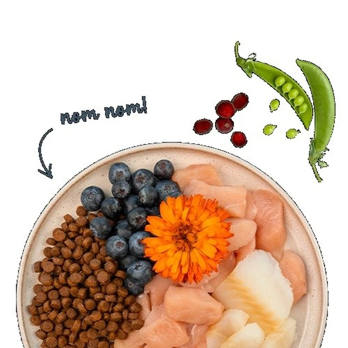 Ξηρά Τροφή Γάτας Bosch Sanabelle Adult Trout & Blueberries 2kg