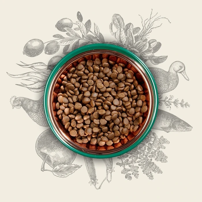 Ξηρά Τροφή Γάτας Eden Original Cousine 10 kg