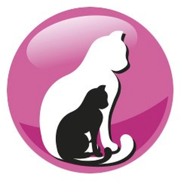 Ξηρά Τροφή Γάτας Prevital Junior Chicken 950g