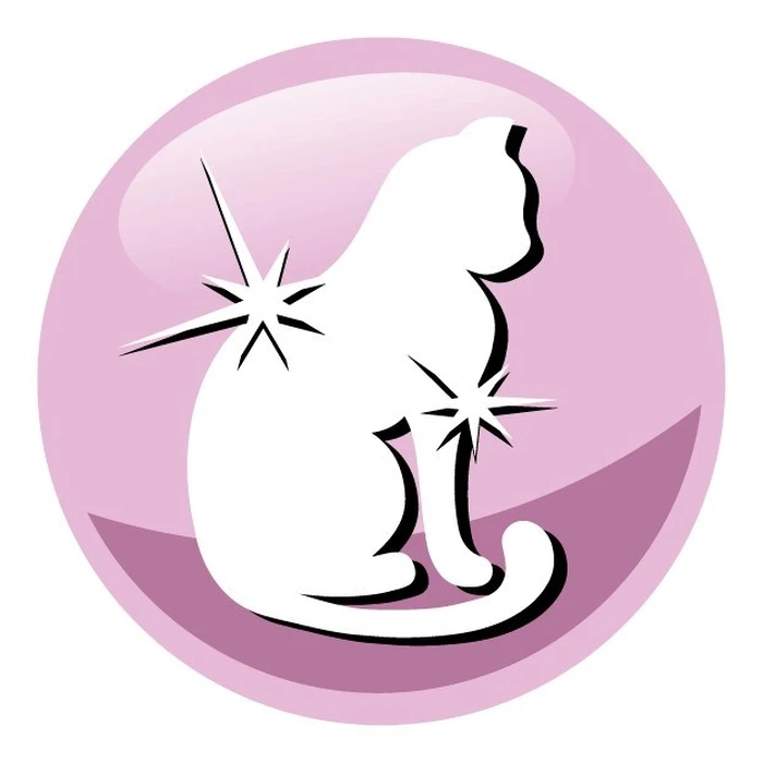 Ξηρά Τροφή Γάτας Prevital Senior Salmon 1,4kg