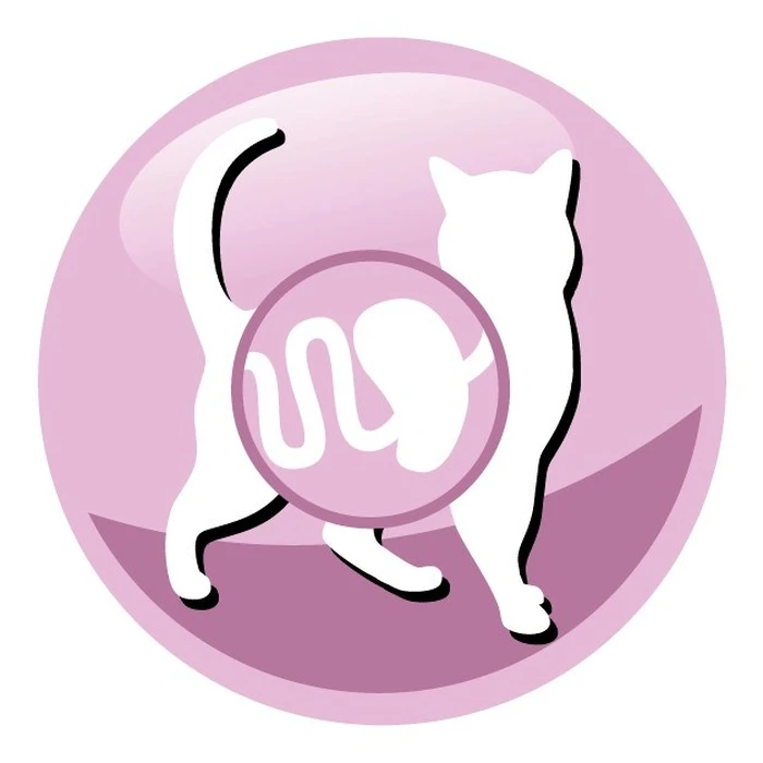 Ξηρά Τροφή Γάτας Prevital Senior Salmon 1,4kg