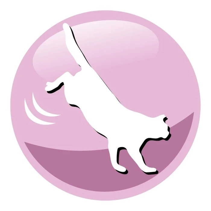 Ξηρά Τροφή Γάτας Prevital Senior Salmon 1,4kg