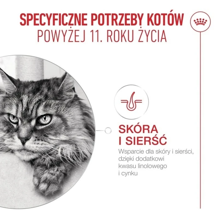 Ξηρά Τροφή Γάτας Royal Canin Ageing 11+ 2kg