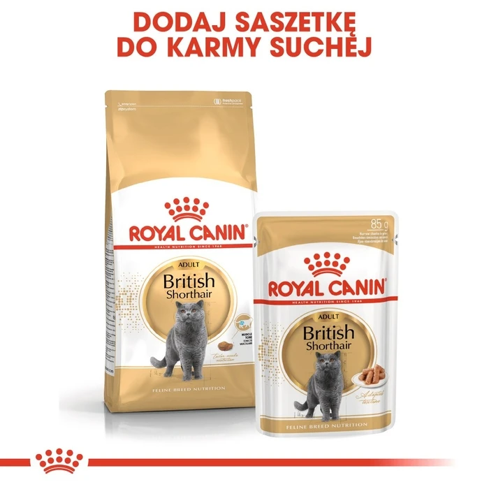 Ξηρά Τροφή Γάτας Royal Canin FBN British Shorthair Adult dry cat food - 10 kg